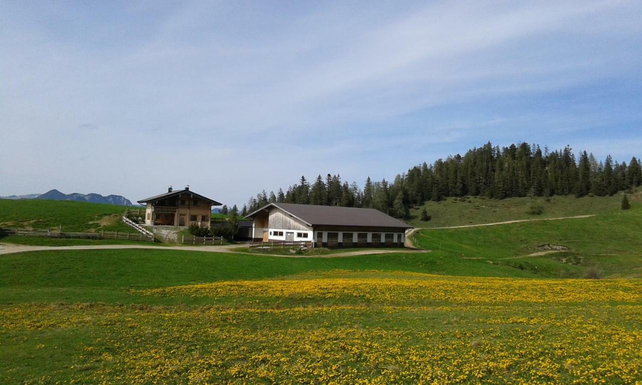 Apartamento Moahof Alpbach Exterior foto