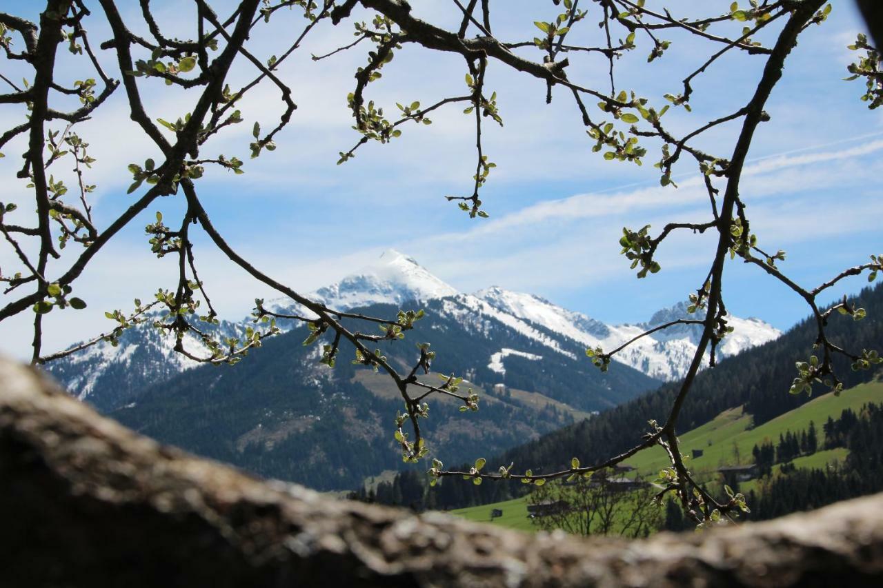 Apartamento Moahof Alpbach Exterior foto